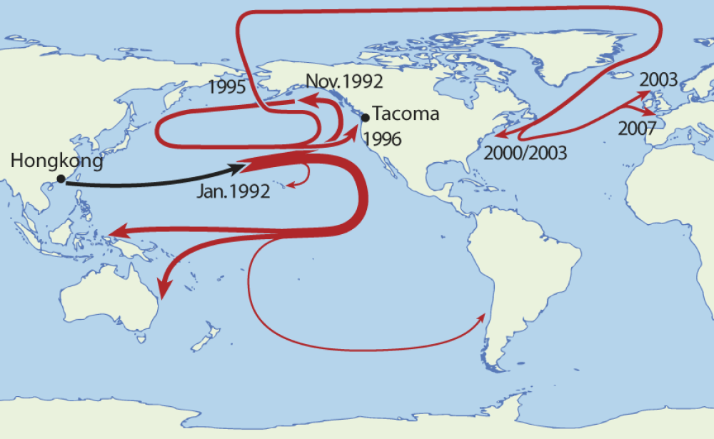 a map showing the route the lost bath toys took across the ocean a map showing the route the lost bath toys took across the ocean